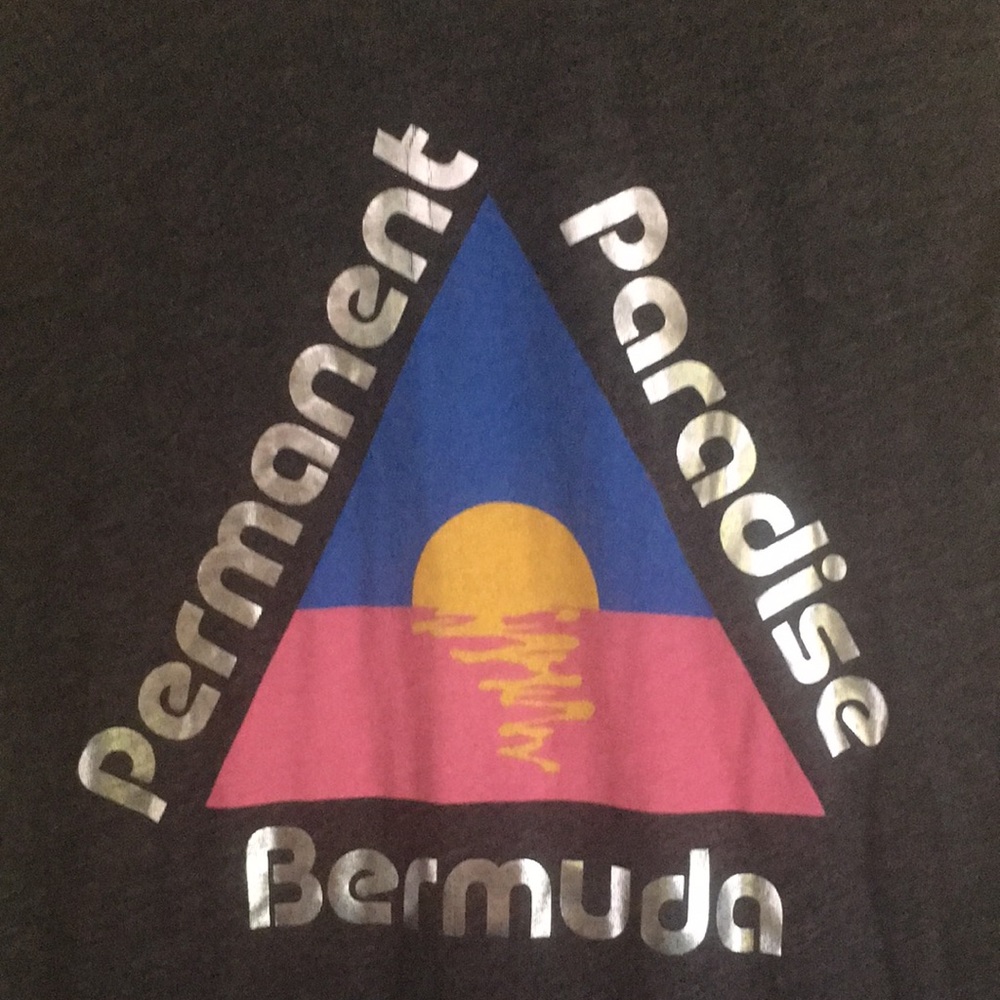 Wildfox Permanent Paradise Bermuda Triangle Top - Picture 3 of 6